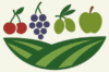 asociacion gremial fruticola del Ñuble